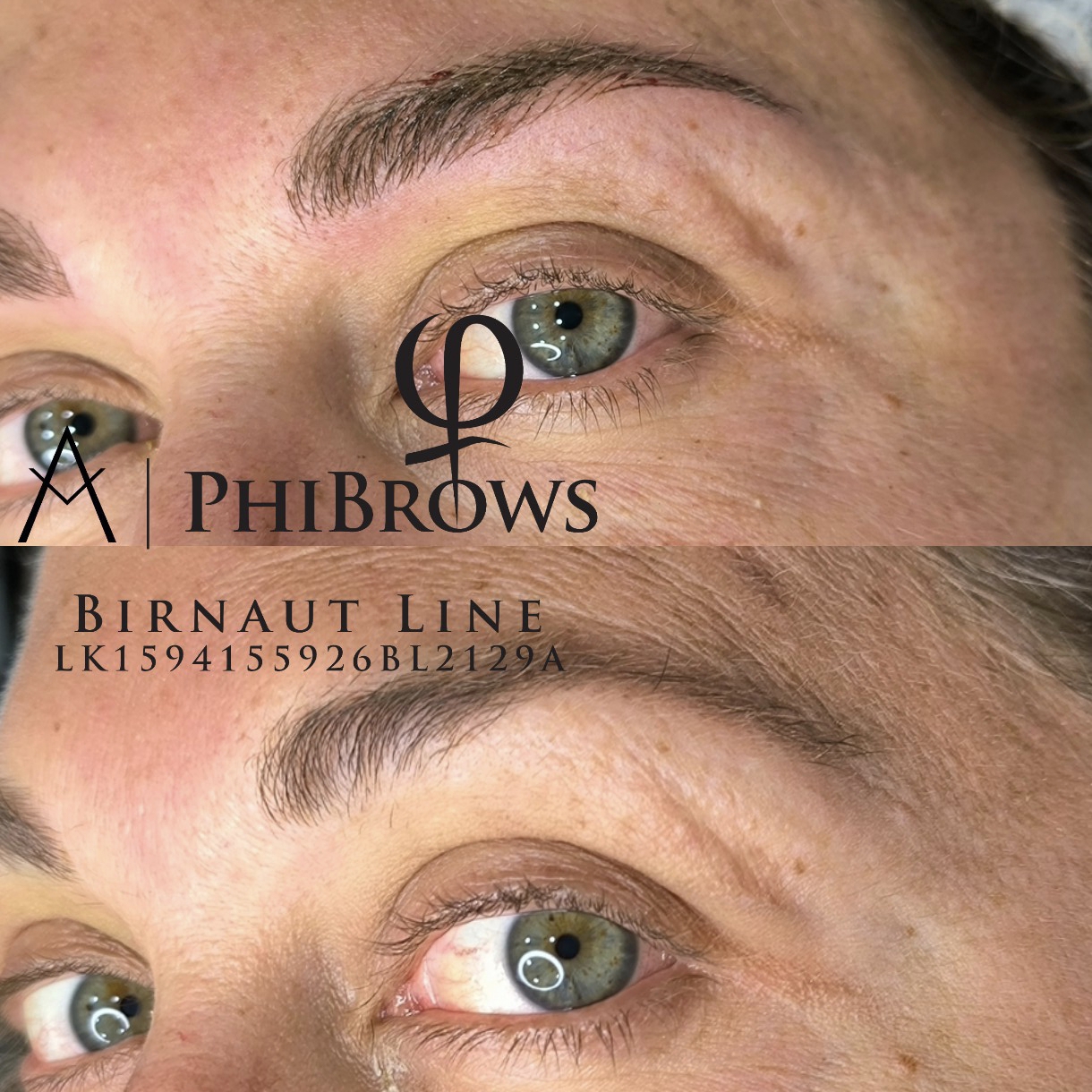 Technique PhiBrows